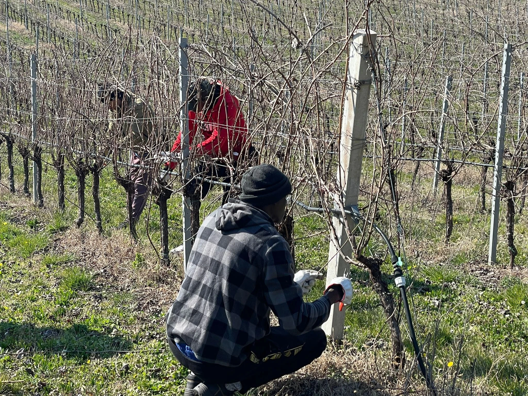Nasce Alleanza Bilaterale tra cinque enti agricoli